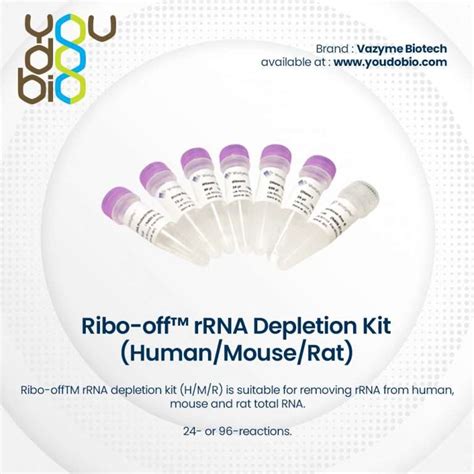 ribo-off rrna depletion kit human/mouse/rat